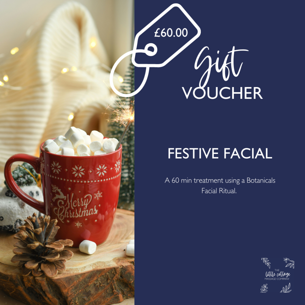 Festive Facial Christmas Voucher